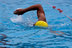 natation7